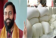 खाद्य पदार्थों